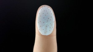 digital-fingerprint